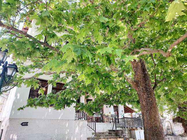 Επαρ.Οδ. Μακρυνίτσα-Άνω Βόλου 11, Σταγιατες 370 11