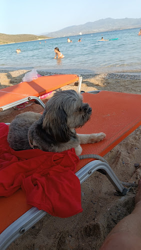 Στρατηγού Σαράφη 23, Τρίκαλα 421 00