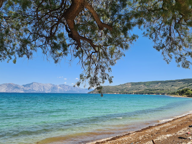 Το Λιμανάκι Λεκούνα - Λεκούνα