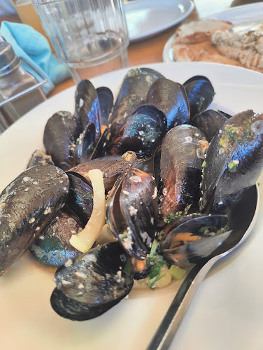 Comentarii opinii despre Fokos