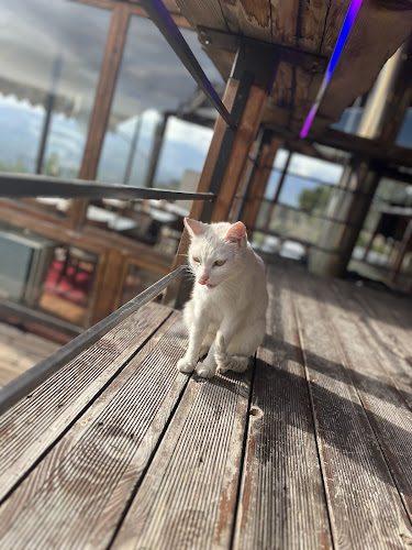 Opinii despre Astra Cafe Restaurant în Δελφοί - Γαστρονομία και φιλοξενία