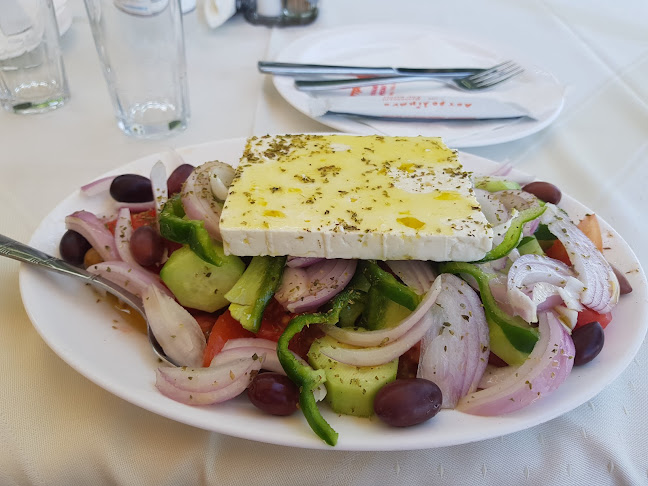 Cactus The Sunny Bar