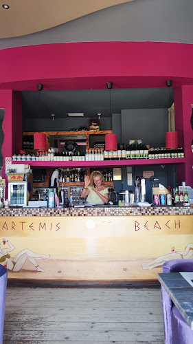 Comentarii opinii despre Artemis Beach