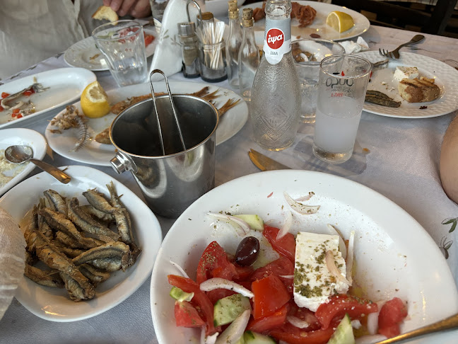 Επαρχιακή Οδός Σούρπης-Ορμού Νηών, Νηές 370 08