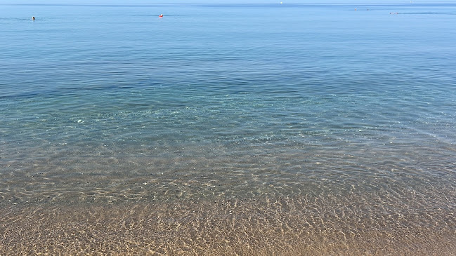 Comentarii opinii despre Sueño