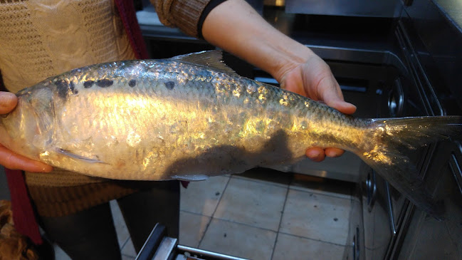 Τα Κουδούνια - Ξάνθη