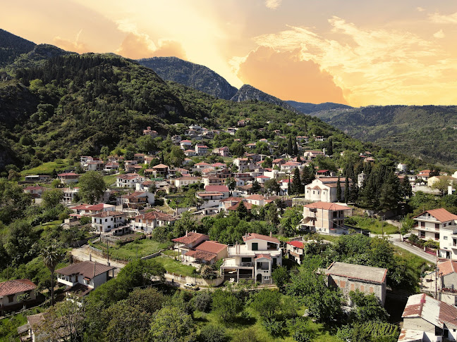 Comentarii opinii despre Καφέ Γλυκοπωλείον Ο Πλάτανος!!!