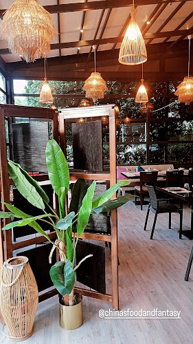 China's Food and Fantasy