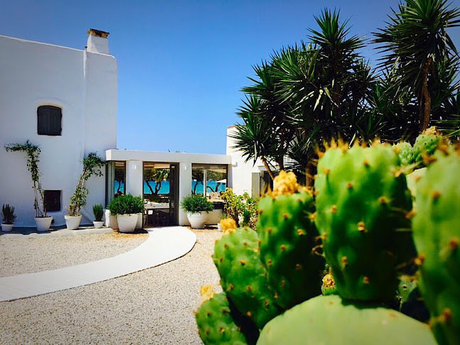 Comentarii opinii despre Palm Beach Paros