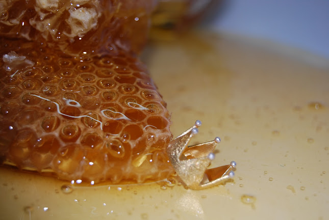 Ermionis - Μελισσοκομία Μπαϊρακτάρη - Γαστρονομία και φιλοξενία