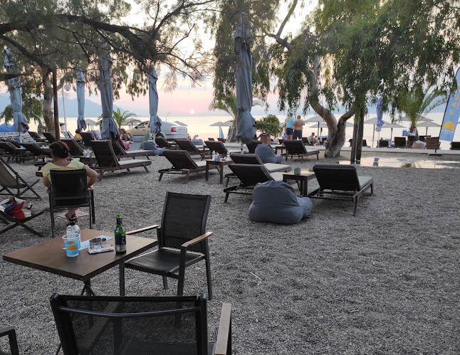 Comentarii opinii despre Cactus The Sunny Bar