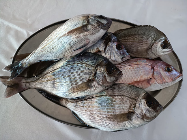 Ψαροταβέρνα ''KABOΣ''