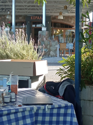 ΤΟ ΚΟΡΑΛΛΙ - Μαρκόπουλο Ωρωπού