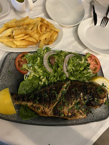 Comentarii opinii despre Barba Thomas