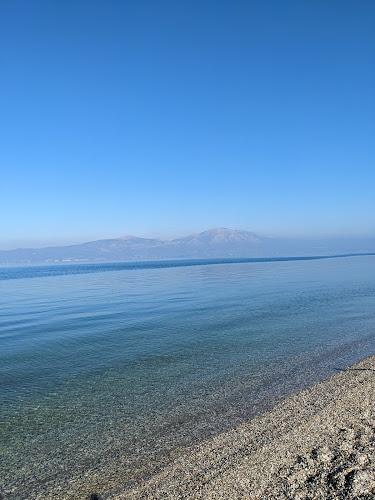 Ψαροταβέρνα Ο Παράδεισος - Γαστρονομία και φιλοξενία