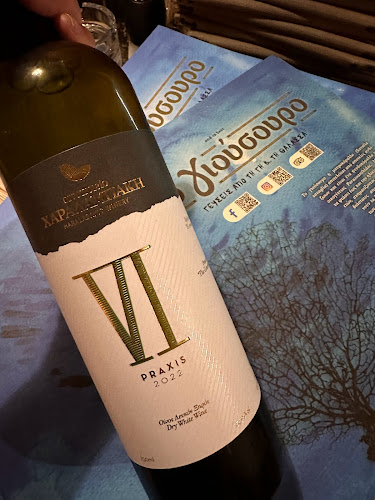 Comentarii opinii despre Giousouro