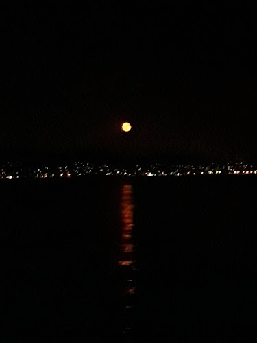 Ταβέρνα Ντερβήσι - Μέγαρα