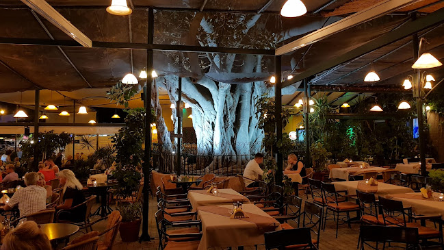 Dionysos - Γαστρονομία και φιλοξενία