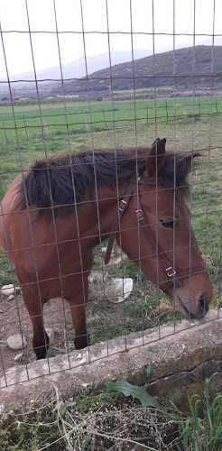 Του Δημήτρη το Σουβλάκι - Γαστρονομία και φιλοξενία