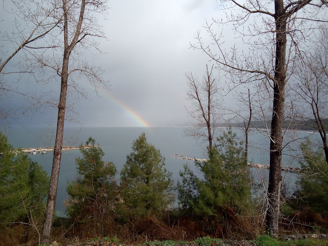ΜΑΙΣΤΡΑΛΙ ΕΣΤΙΑΤΟΡΙΟ ΨΑΡΟΤΑΒΕΡΝΑ ΜΥΤΙΚΑΣ ΠΡΕΒΕΖΑΣ,MAISTRALI FISHERIES RESTAURANT MITIKAS PREVEZA - Γαστρονομία και φιλοξενία