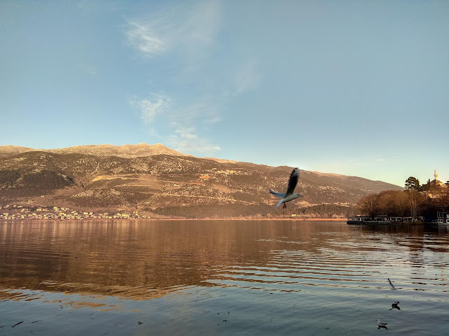 Antika Coffee Drink & Food - Ιωάννινα