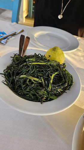 Νέο Οίτυλο 230 62