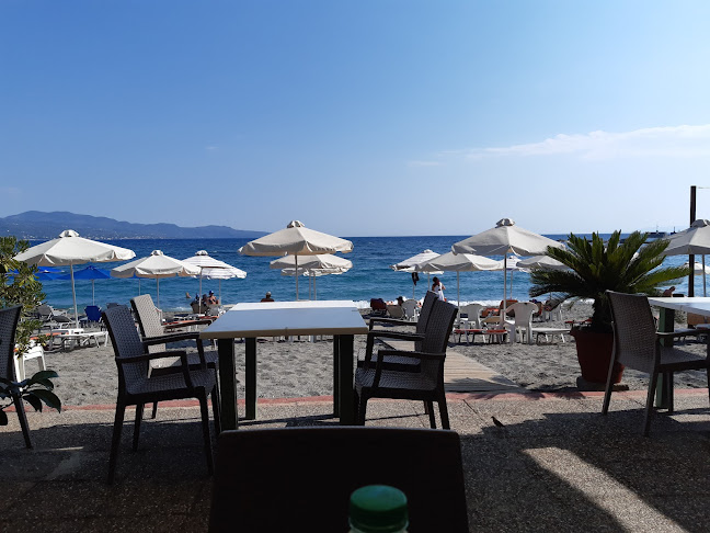 Opinii despre ΑΛΚΥΟΝΙΔΕΣ în Καλαμάτα - Γαστρονομία και φιλοξενία