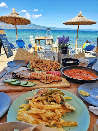 ΙΠΠΟΚΑΜΠΟΣ - Νέες Παγασές