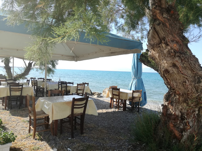 Ippokampos - Βραχάτι