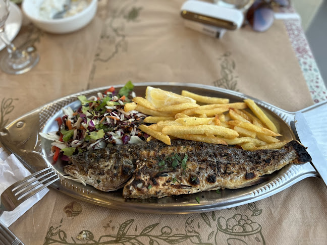 Steki Grill Restaurant