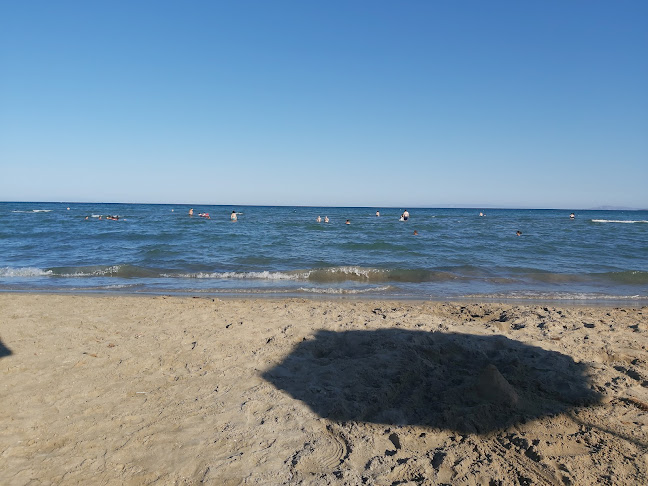 Opinii despre Θοή δαίς beach bar în Άρτεμις - Γαστρονομία και φιλοξενία