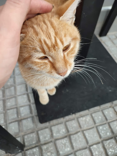 My Day - Νέα Μουδανιά