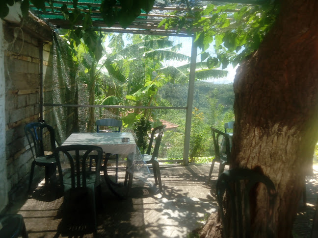 Η συνάντηση των κυνηγών - Σκιοέσσα