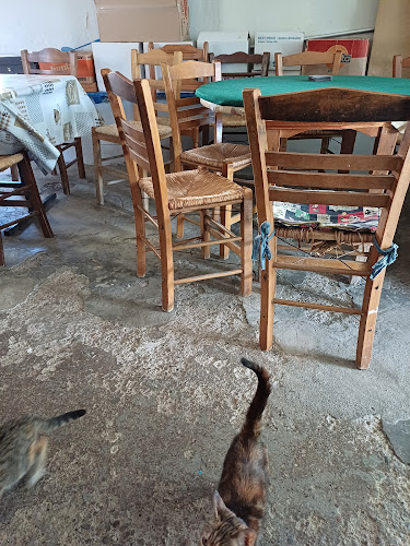 Comentarii opinii despre Παραδοσιακό Καφενείο " Η Καραγκούνα "