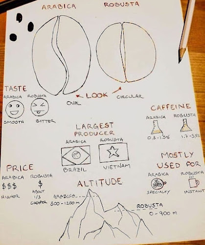 Opinii despre Bean tree Coffee & More în Σκιάθος - Γαστρονομία και φιλοξενία