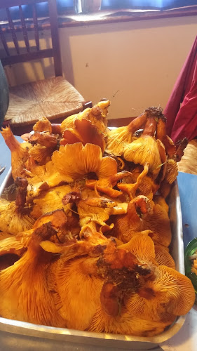 Ταβέρνα Λίθος