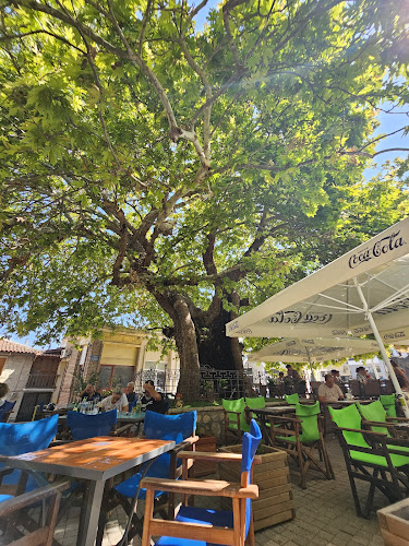 Opinii despre Αναψυκτήριο μπουγάτσα ΑΝΔΡΕΑΣ în Κασσανδρεία - Γαστρονομία και φιλοξενία