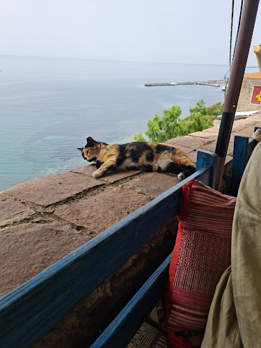 Το Μικρό Καφέ - Γαστρονομία και φιλοξενία