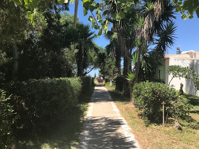 Μπρίνια 270 52