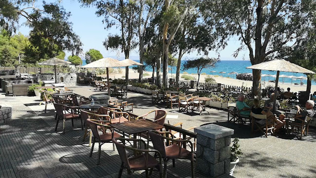 Ocean Cafe Bar Surf Club