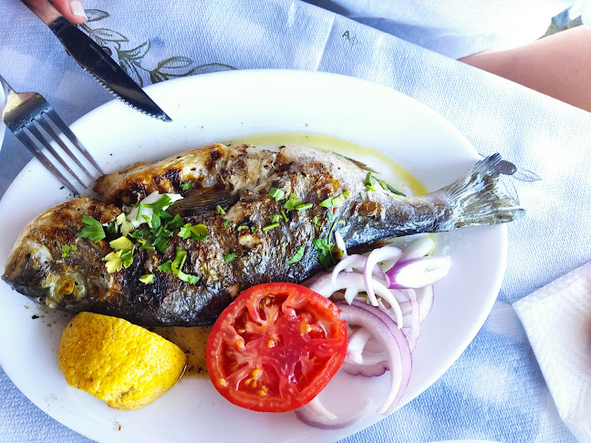 Τσιπουράδικο ΝΕΜΕΣΙΣ - Γαστρονομία και φιλοξενία