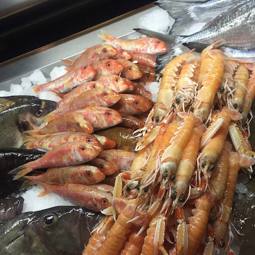 ΙΩΛΚΟΣ - Γεύσεις Θάλασσας - Γλυφάδα