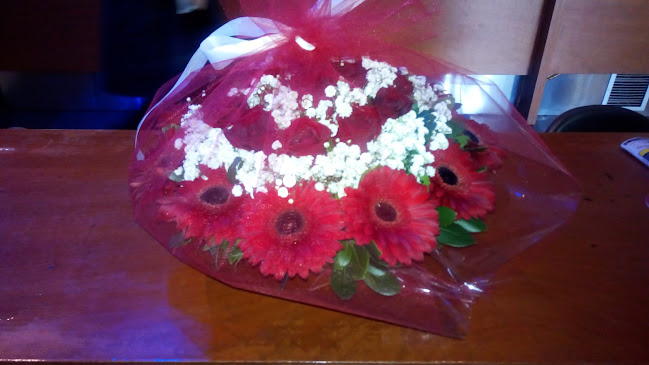 Λεωφ. Ελ. Βενιζέλου 214, Καλλιθέα 176 75