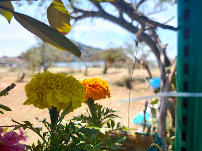 Αντωνιάδου, Αργοναυτών, Μύρινα 814 00