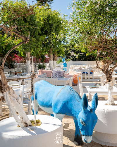 Comentarii opinii despre Drossia Traditional Restaurant since 1974