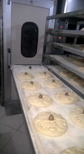 Επαρ.Οδ. Σκάλας-Αγίου Ιωάννη, Έλος 230 55