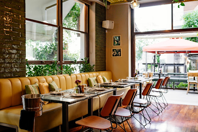 Comentarii opinii despre Frankie