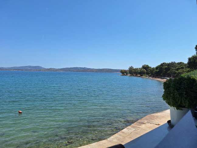 Comentarii opinii despre ΤΟ ΝΕΡΑΚΙ -ΔΑΛΛΑ