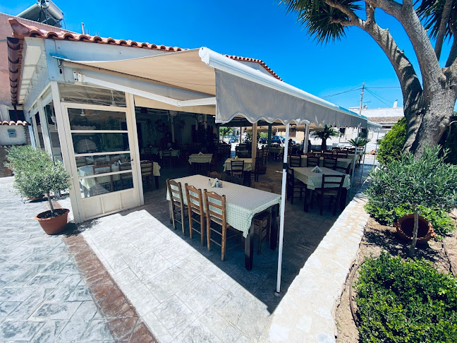 Opinii despre Ταβέρνα Ο Λουλάς în Μαραθώνας - Γαστρονομία και φιλοξενία