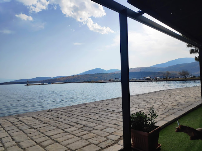 Opinii despre Mostra Cafe-bar în Ιτέα - Γαστρονομία και φιλοξενία